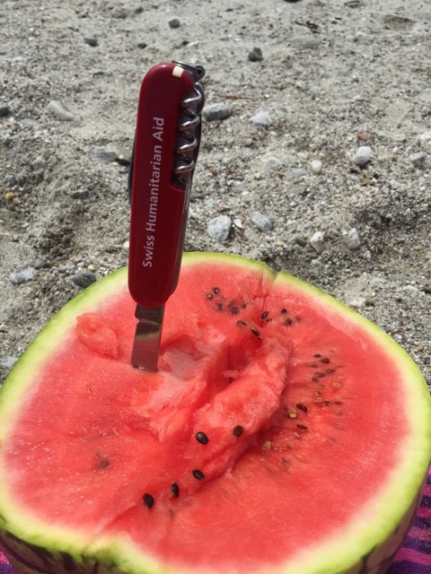 Wassermelone im Sand